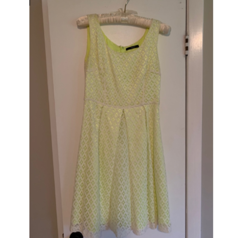 Tahari Crochet Lace Dress in White and Neon Green
